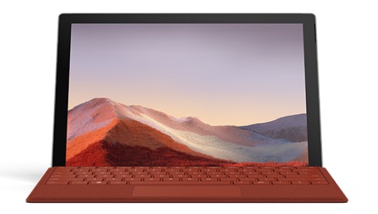墨脱清洁和维护 Surface